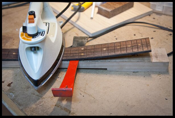 fretboard transplant