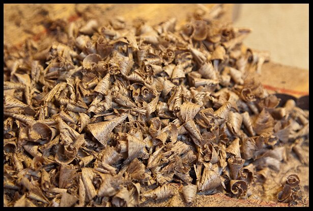 Mahogany shavings