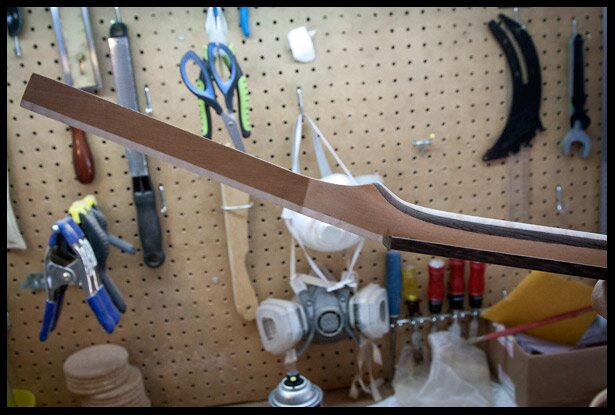 Volute side view