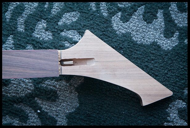 Close up of the neck with fretboard and truss rod