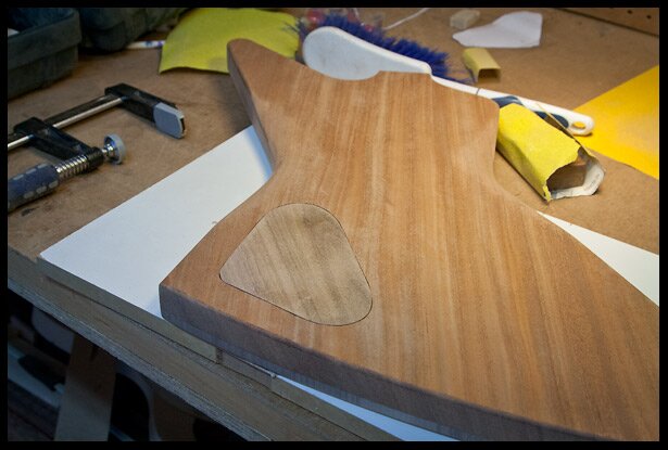 Electronics cavity cover plate